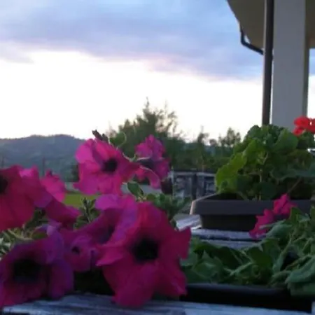 Panorama 3d ゲストハウス 3*