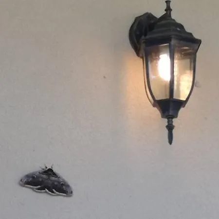 Panorama 3d 3* ヴァルシェツ